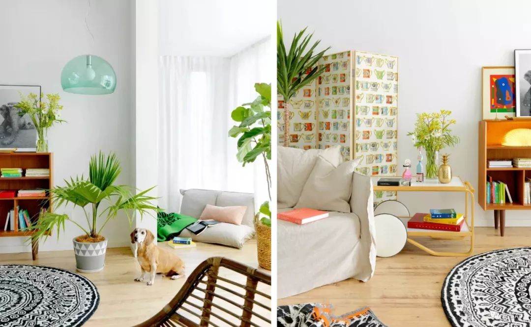 每个女明星的家都长什么样子,女明星家里都是怎么样的