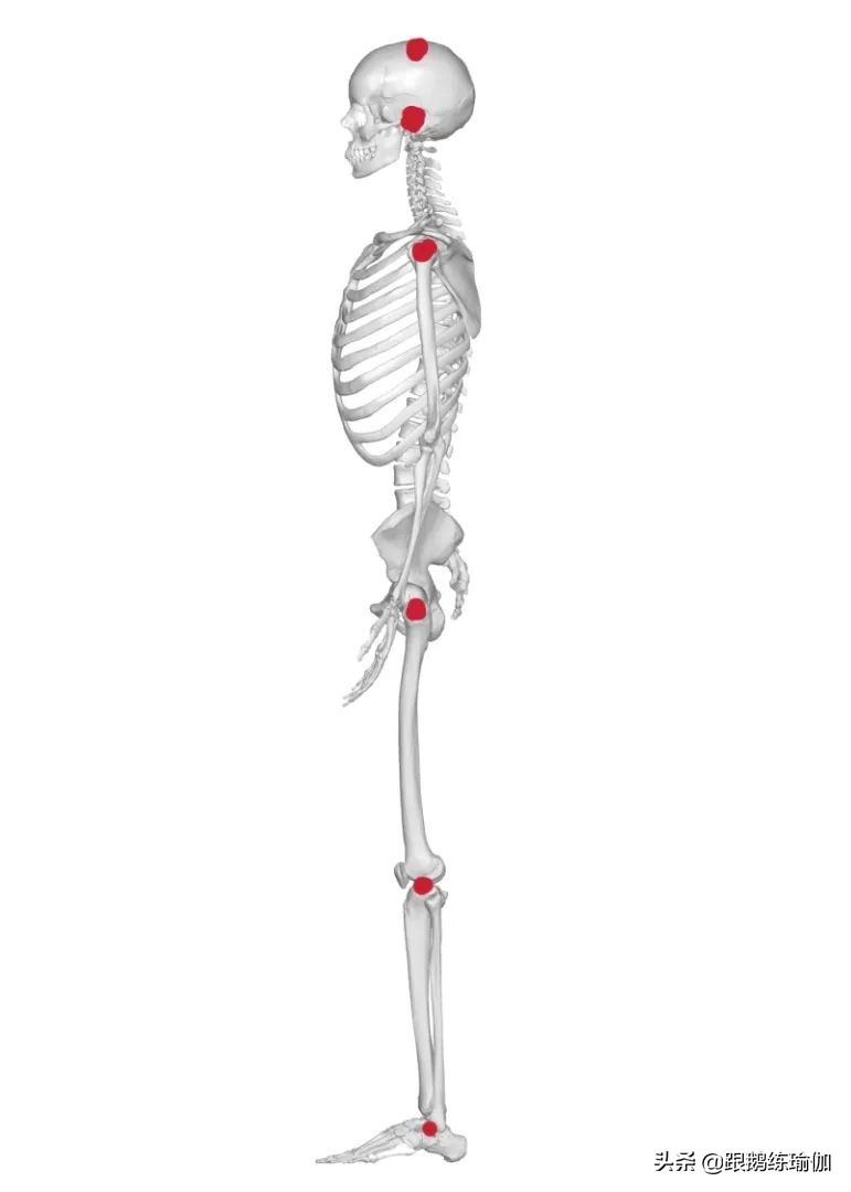 怎样练瑜伽山式站姿,零基础瑜伽入门第一式山式
