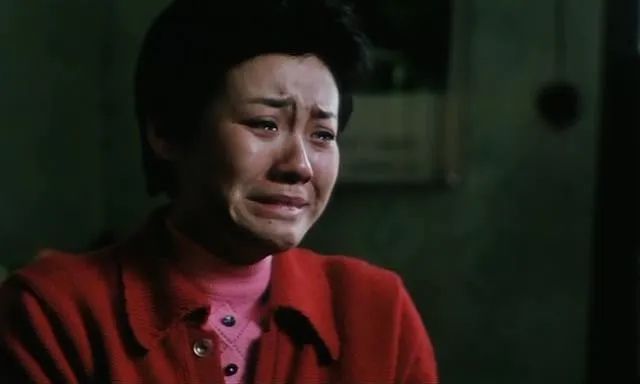 李冰冰警察电影老片子,李冰冰国产电影