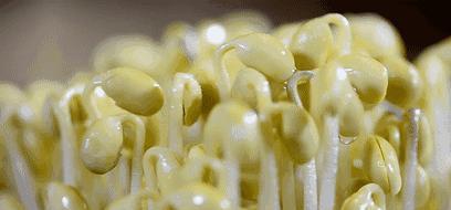 花甲米线为什么生意不好呢,花甲米线为什么受到大众的喜欢