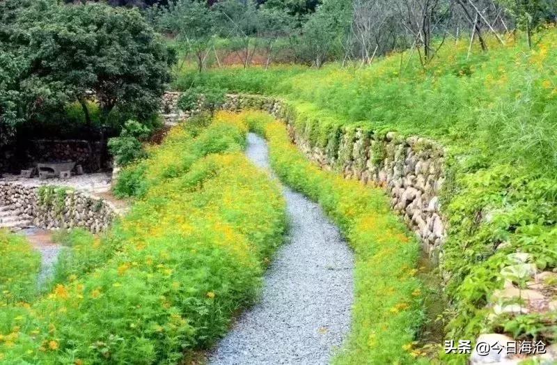 酒店团购厦门嵩屿码头,海沧嵩屿码头附近酒店