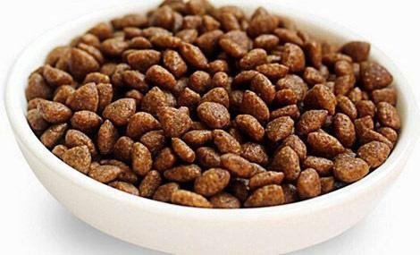 狗粮颜色可以判断狗粮好坏吗,用水泡狗粮分辨狗粮好坏