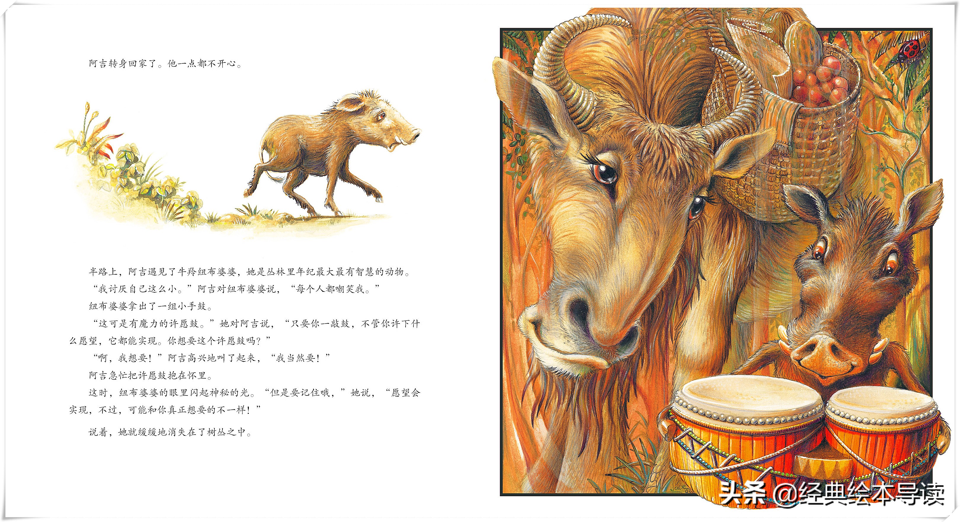 “弱势”与卑微生命的愿望——《阿吉的许愿鼓》导读