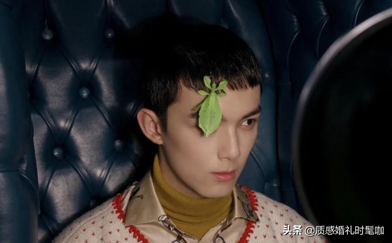 蝗虫算是物种入侵吗,蝗虫是圣甲虫吗