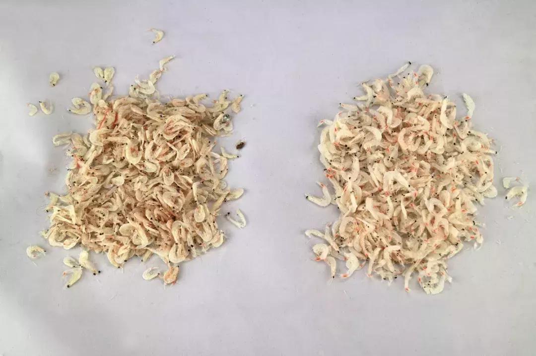 简单易做的补钙食品,这几道菜能补钙小孩子要常吃