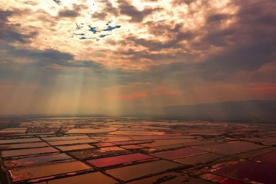 你们听说过死海吗,你听说过海洋中的强大生物吗
