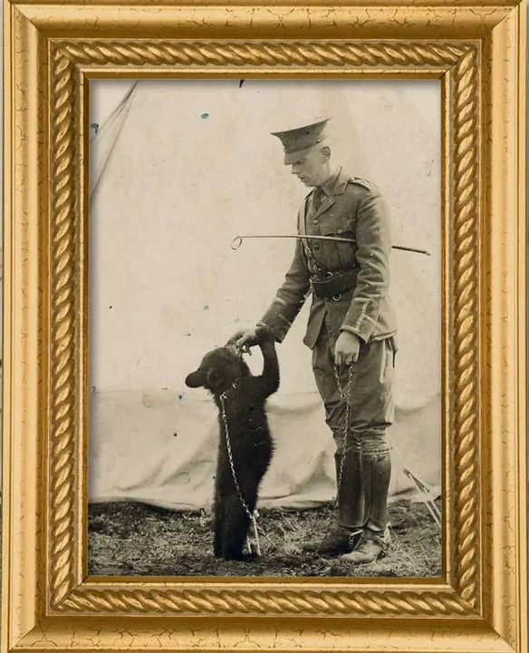 绘本《寻找维尼》深入解读