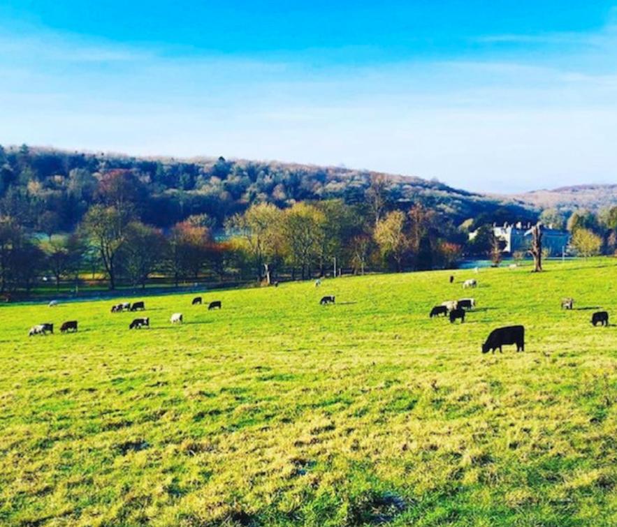 instagram前十名红人,instagramtop10