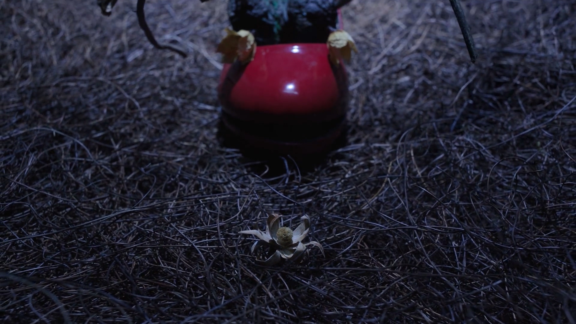 如何用垃圾拍成一部惊艳的电影