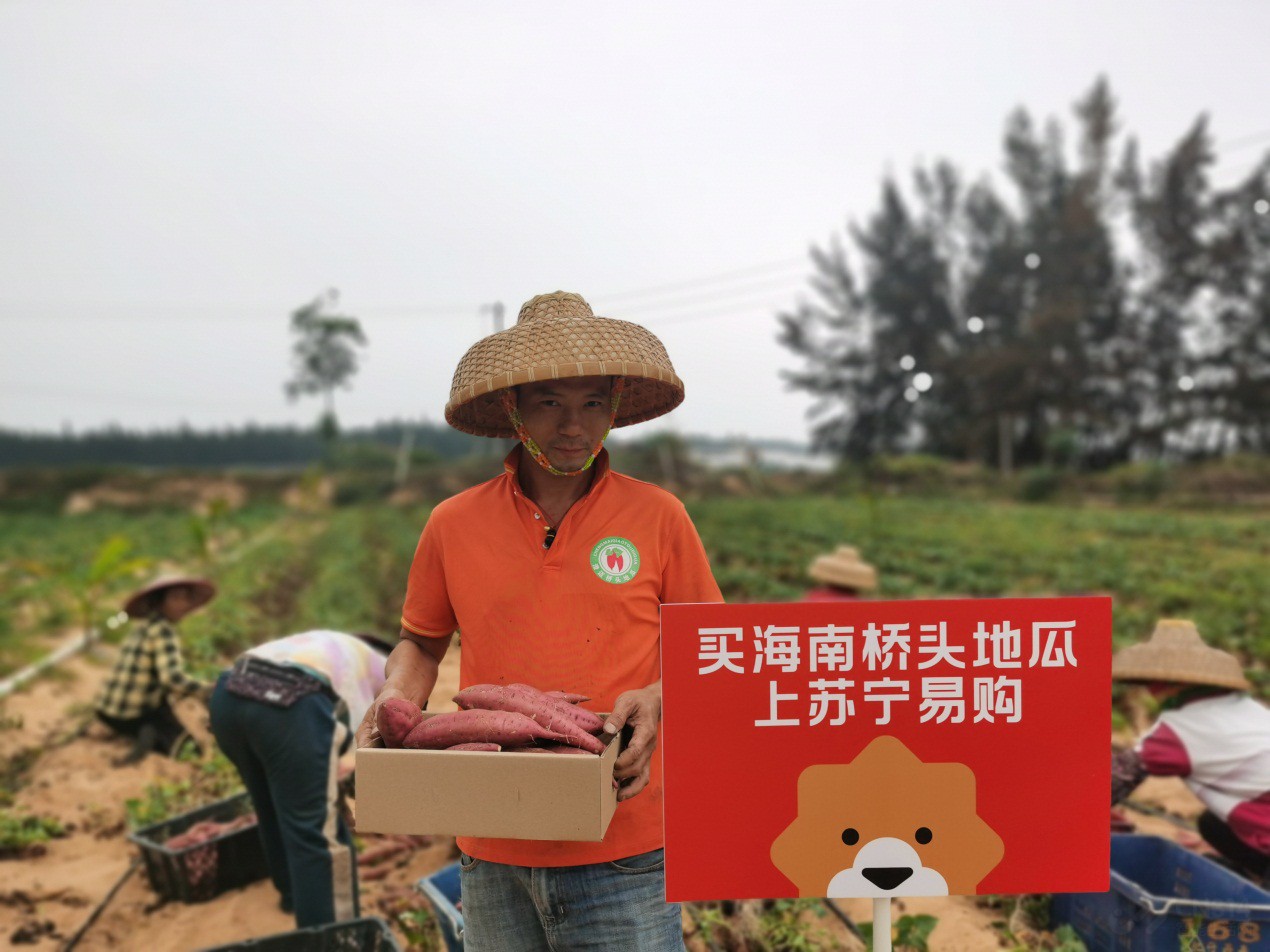 最新海南小台芒产地直发,广西贵妃芒10斤大果当季整箱