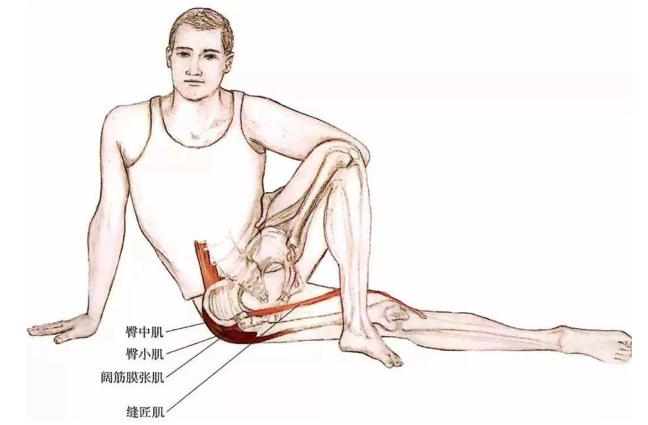 瑜伽髋部的结构,瑜伽呼吸缝合术