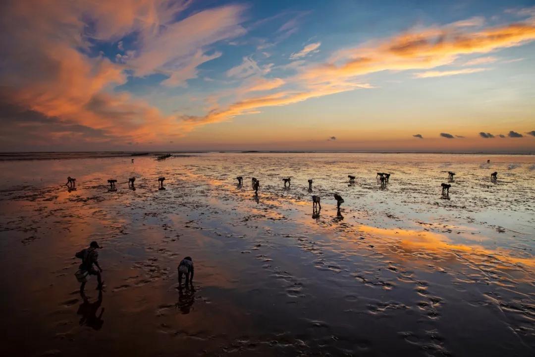 宋卫平杭州别墅,宋卫平杭州湾图片