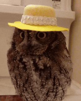 高倍防晒夏天必备的防晒好物推荐,错过时机再等一年