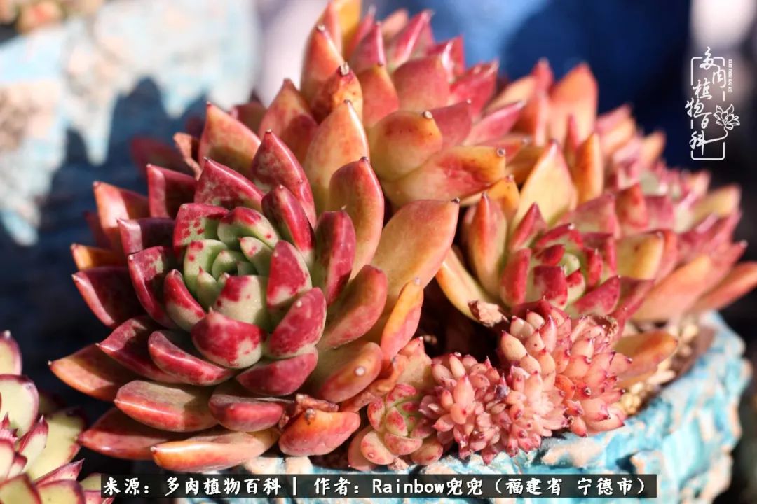 岁月无波澜余生不悲欢是啥意思,愿你岁月无波澜敬我余生无悲欢