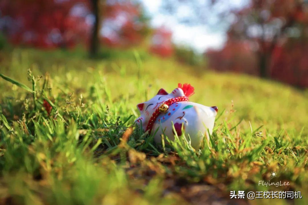 这12个网站,怎么可以这么好看