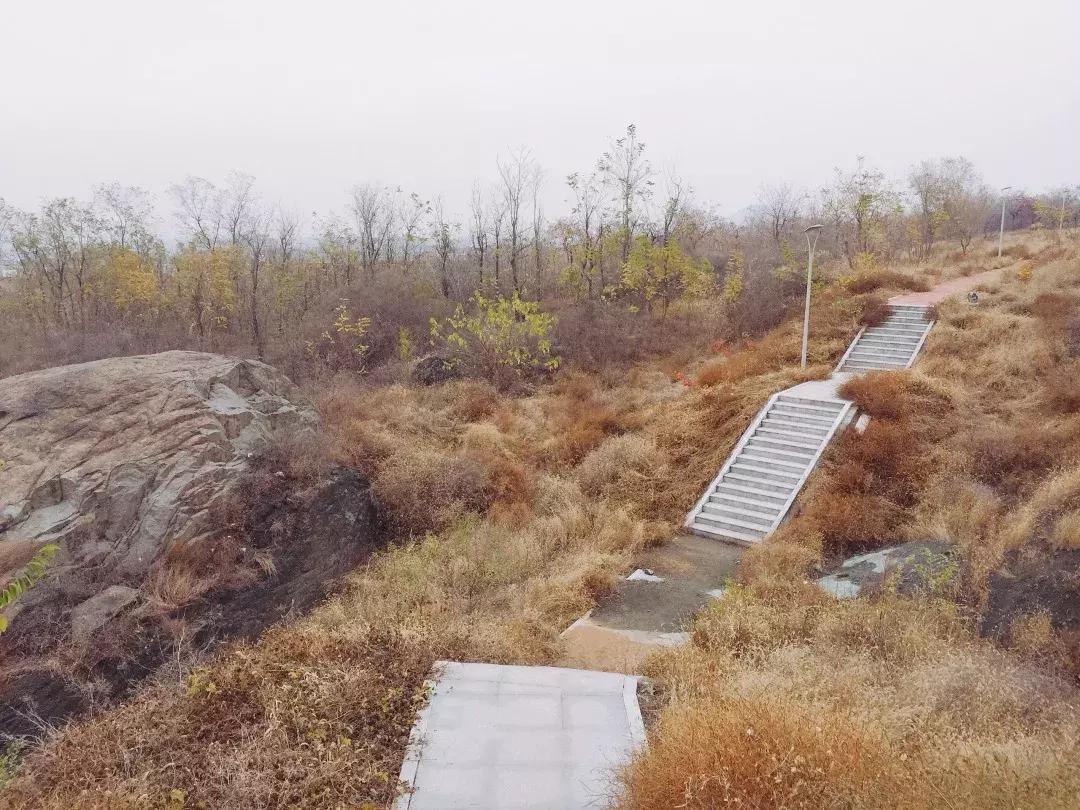 淄博华侨城旅游综合体重大项目,华侨城旅游度假区