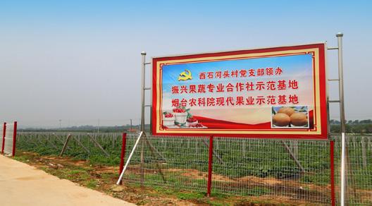 烟台深入推进党支部领办合作社,加快推动村党支部领办合作社