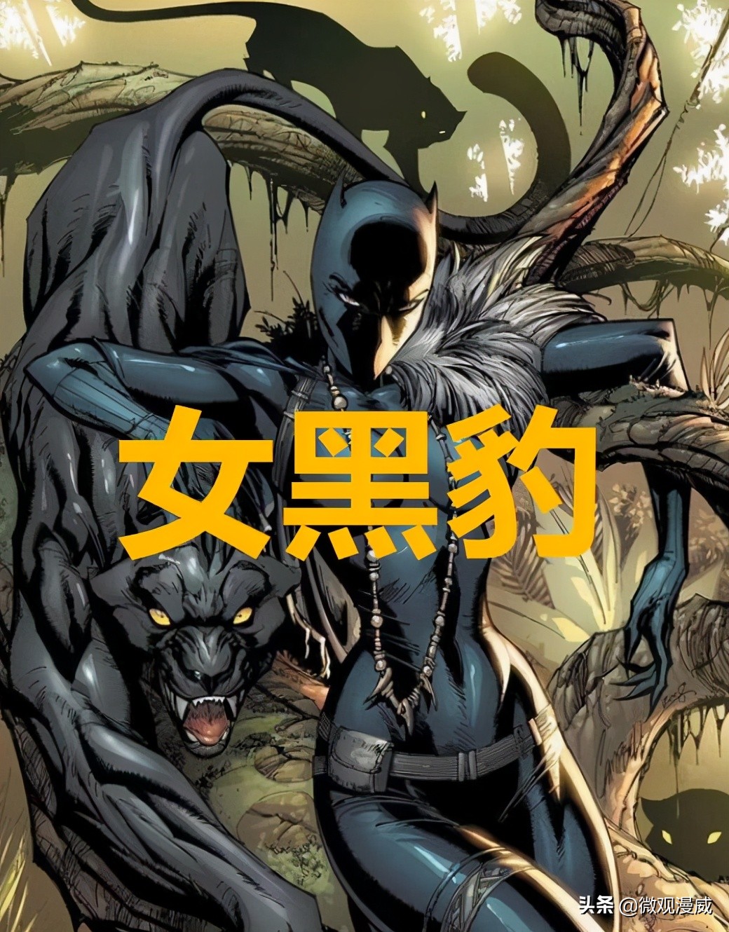 黑豹2救苏睿的是谁,黑豹2心形草是什么