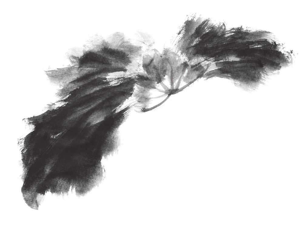 国画刘存惠荷花画法全视频,国画山水画教学视频荷花画法