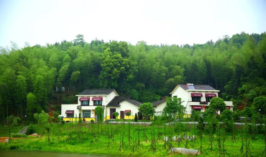 赋能产业发展助力乡村振兴,长沙连锁民宿经营方式和营销策略