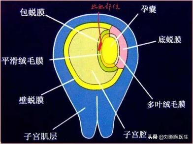 绒毛膜下血肿保胎的方法,免疫治疗不良妊娠的方法