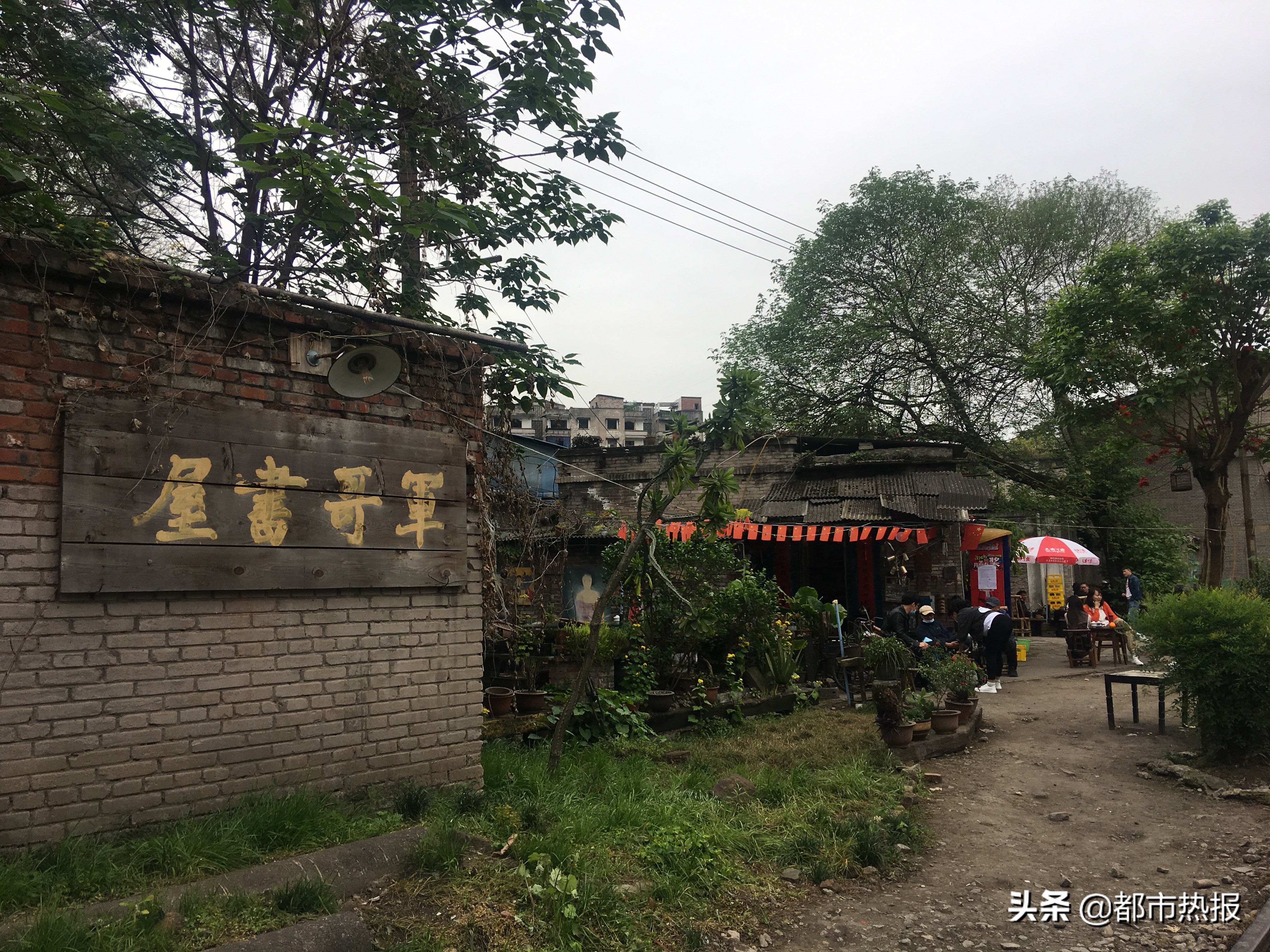 跟着轨道去打卡,跟着四线城际去旅游