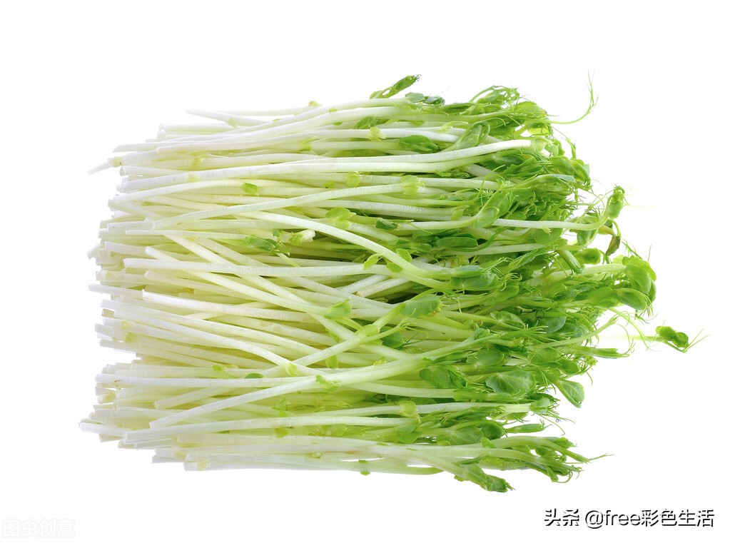 家庭水培豌豆苗方法,水培豌豆苗批发