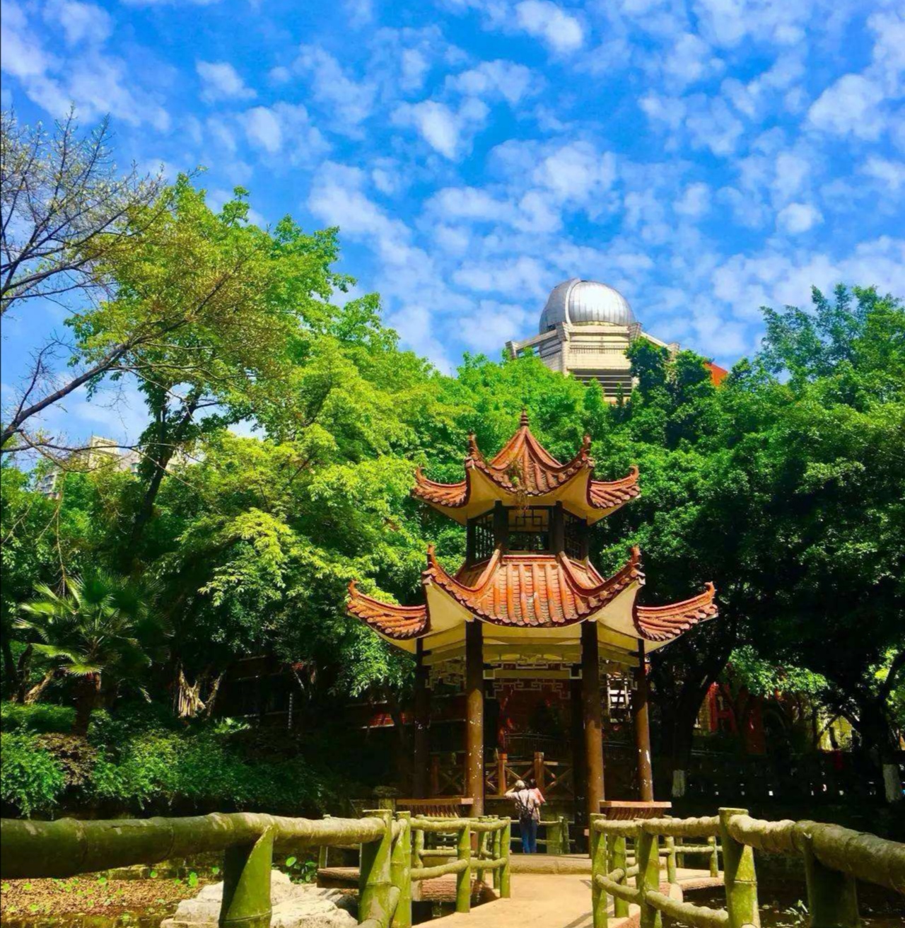 重庆中学前50排名,重庆中学一二三梯队