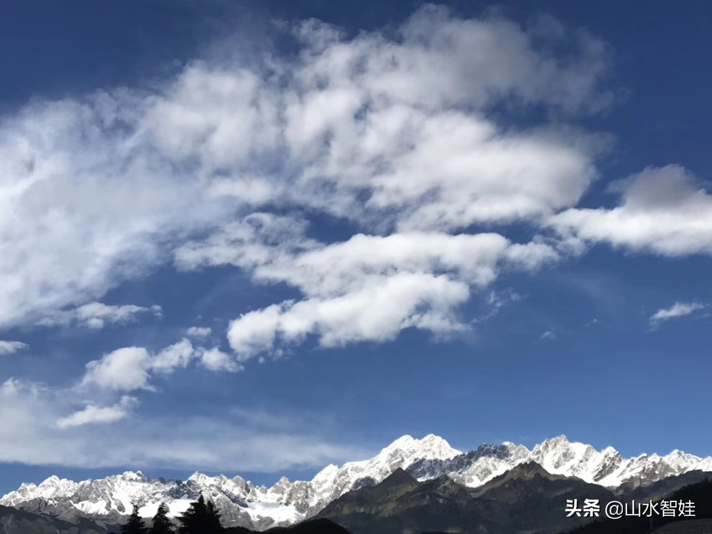 宝宝补dha推荐,香格里拉舒达核桃油怎么样