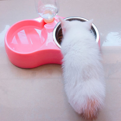 新手养猫铲屎官攻略,猫咪铲屎官新手教程