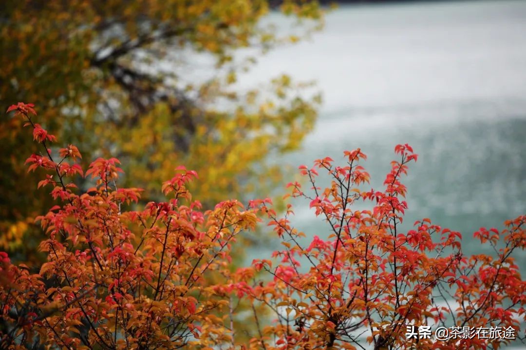 进藏旅行记,林芝巴松措结巴村民宿哪家好