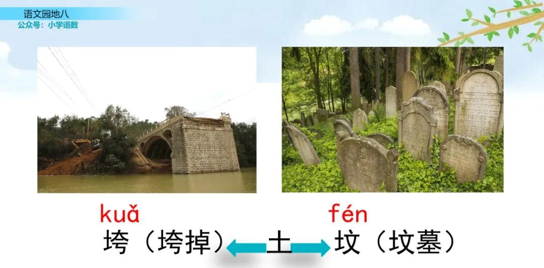 二年级上册语文园地八讲解视频,二年级语文园地八给动物分类答案