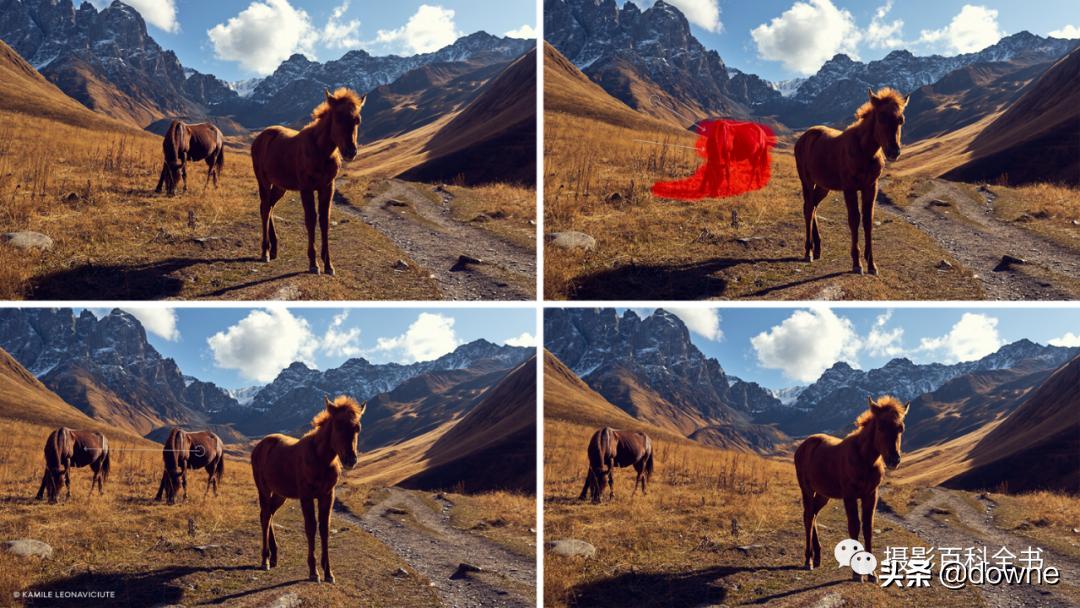 修出高级感的大片并不难飞思CaptureOne21Pro来帮你用过的都说好