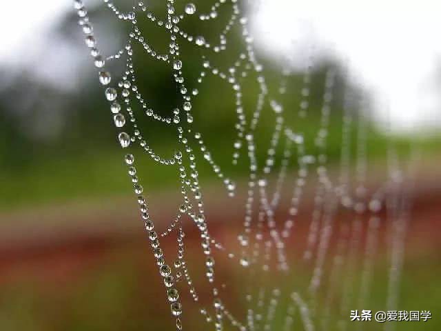 哲理性文言文摘抄,精短的妙文