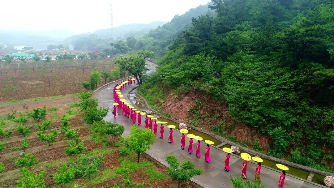 杏子熟了好吃又爽口,周末去近郊景盛源消暑摘杏