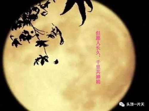 苏轼但愿人长久千里共婵娟故事,苏东坡但愿人长久千里共婵娟朗读