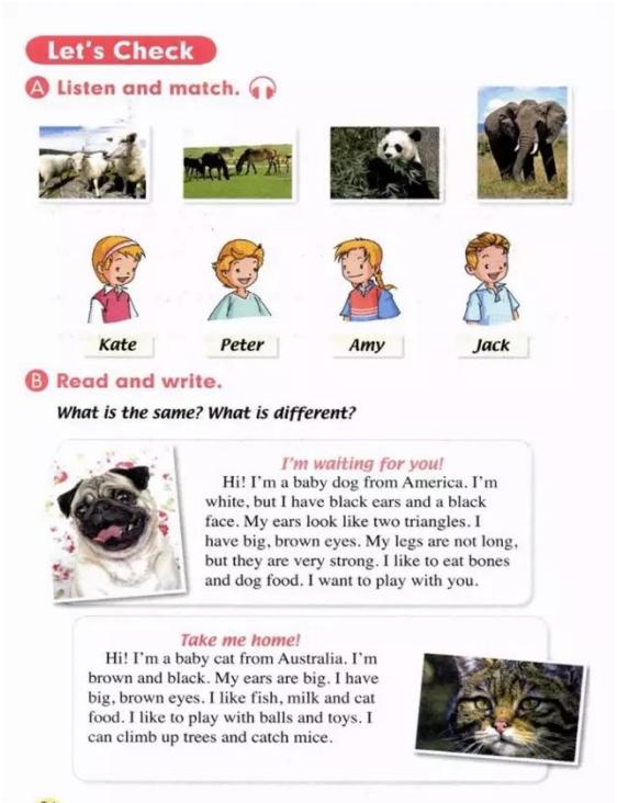 人教版新起点英语五年级下册复习,人教版英语电子课本一年级新起点