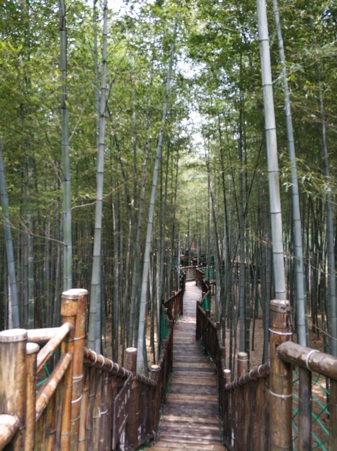 宜兴十大攻略,宜兴十大最美自驾游路线