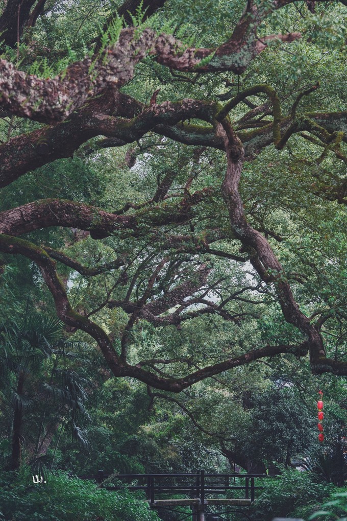 心中有桃花源何处都是山水间,心中若有桃花源何处是水云间