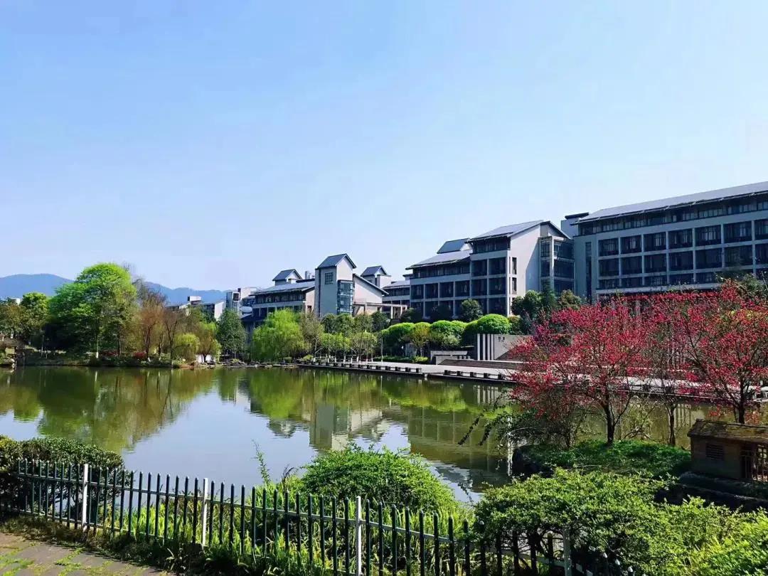 对话大咖,对话大咖视频