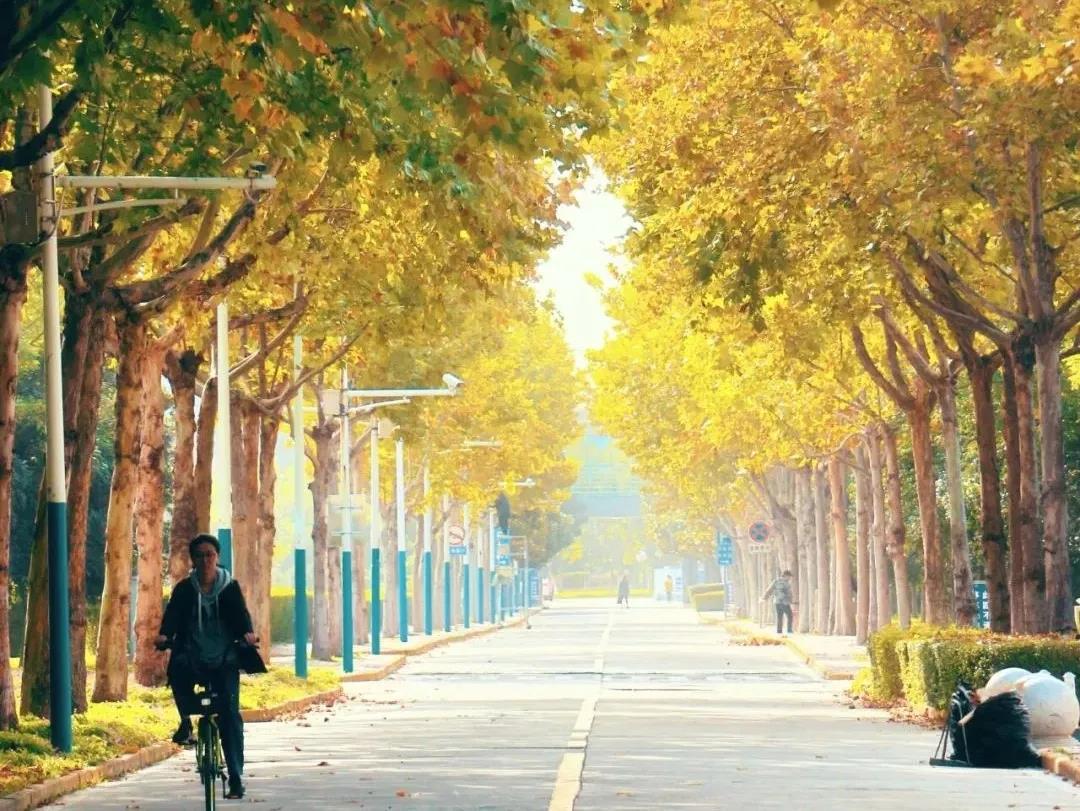 西安最豪华的大学图书馆,最豪华食堂大学