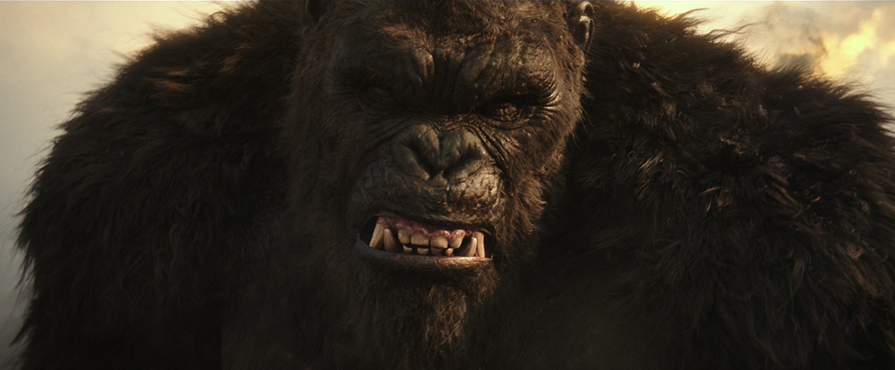 “怪兽之祖”金刚不为人知的故事:不止于大、种族更迭、版权乱战