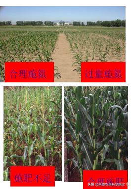 农资行业怎么做才有优势,做农资都需要什么手续