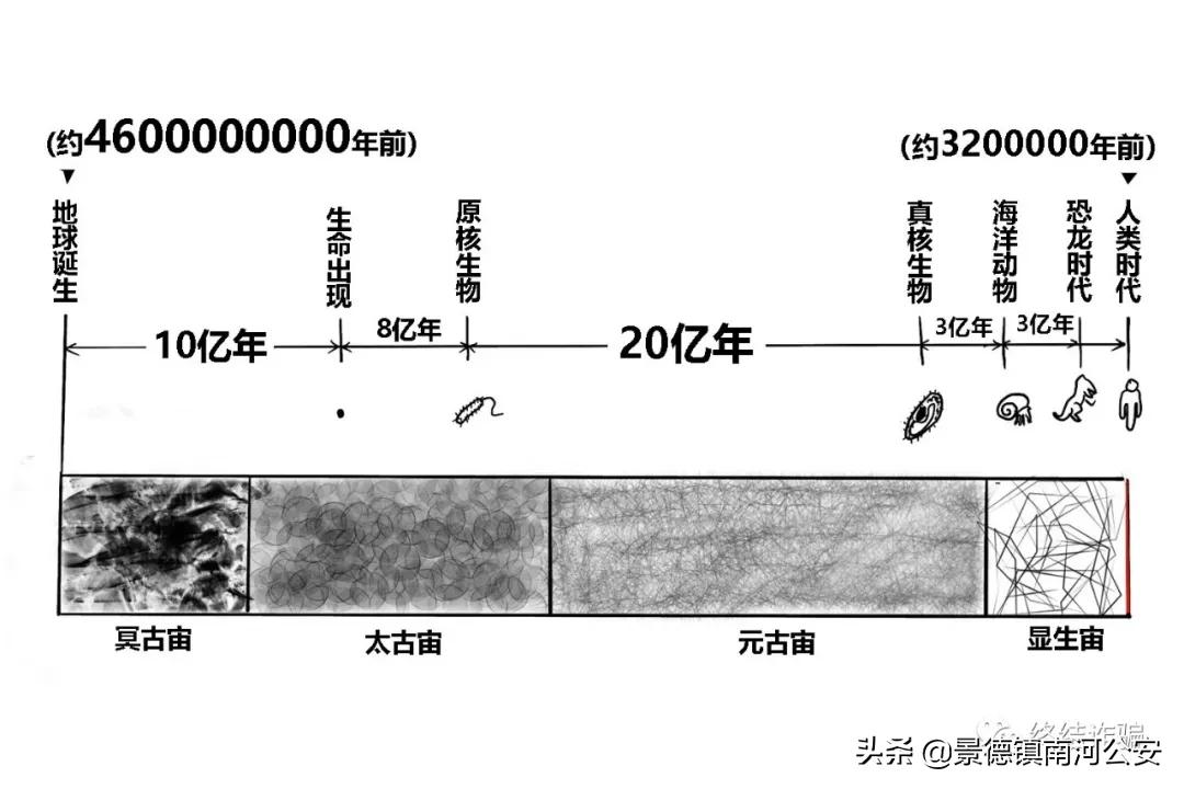 科普病毒真实情况,科学家研究病毒科普小知识