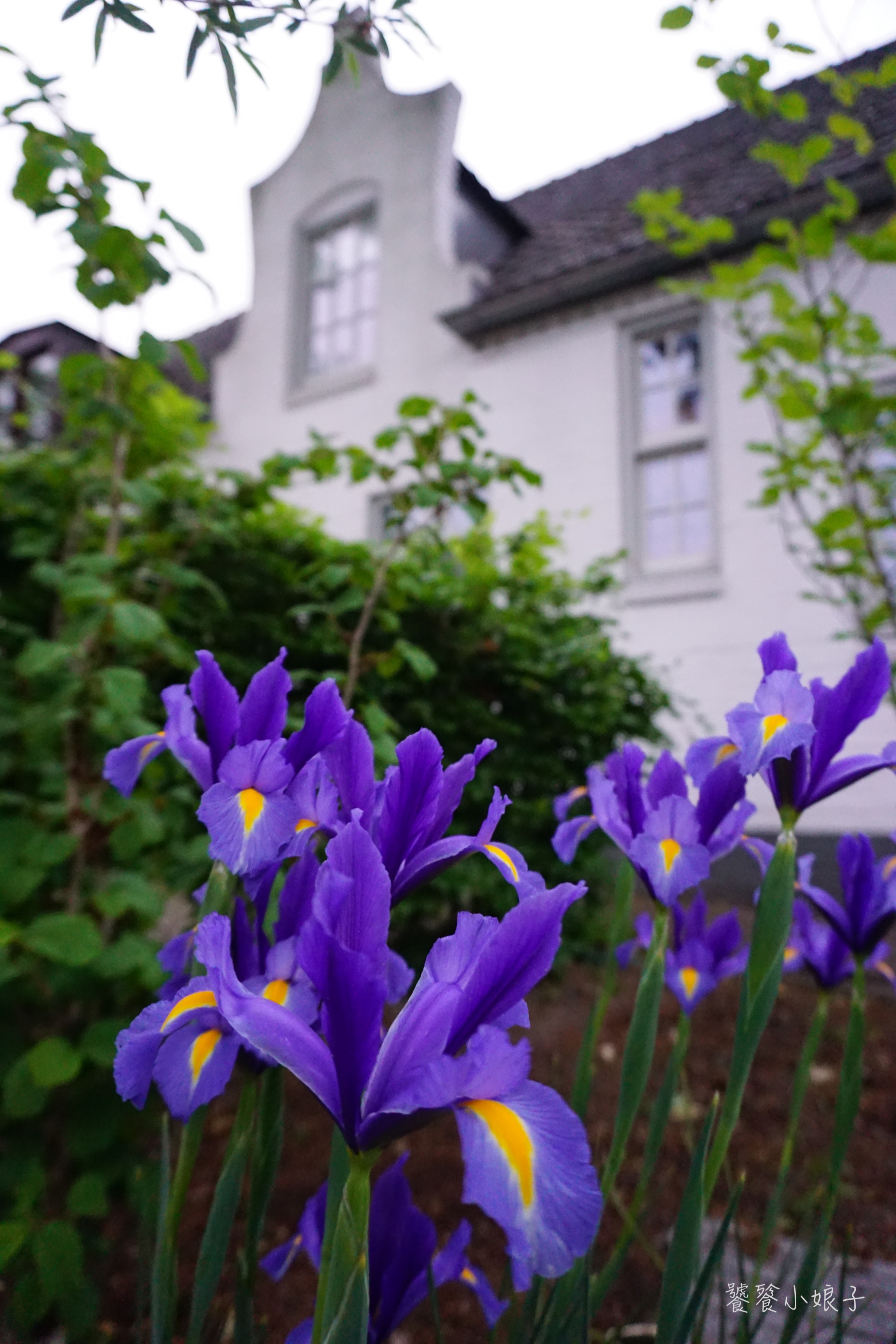 荷兰乡间小道,荷兰很神秘的小村庄