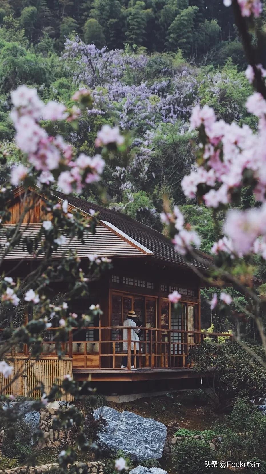 五一莫奈庄园一日游,五一不出游在家门口看风景