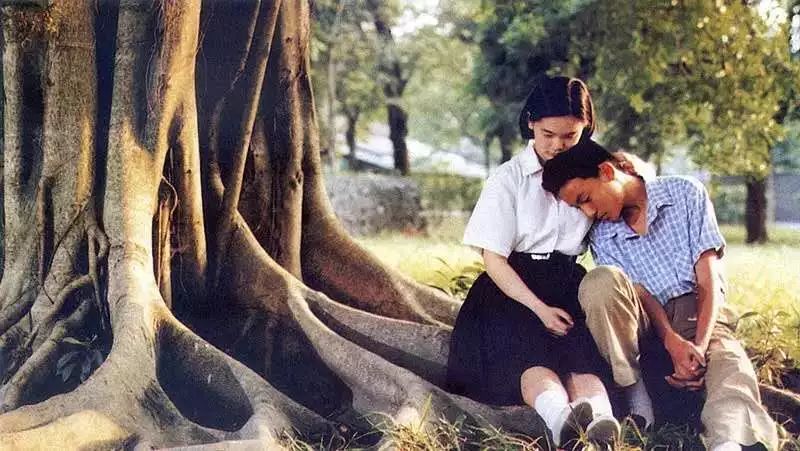 鍗庤鐢靛奖top250,top250鐢靛奖瑙ｈ鍚堥泦