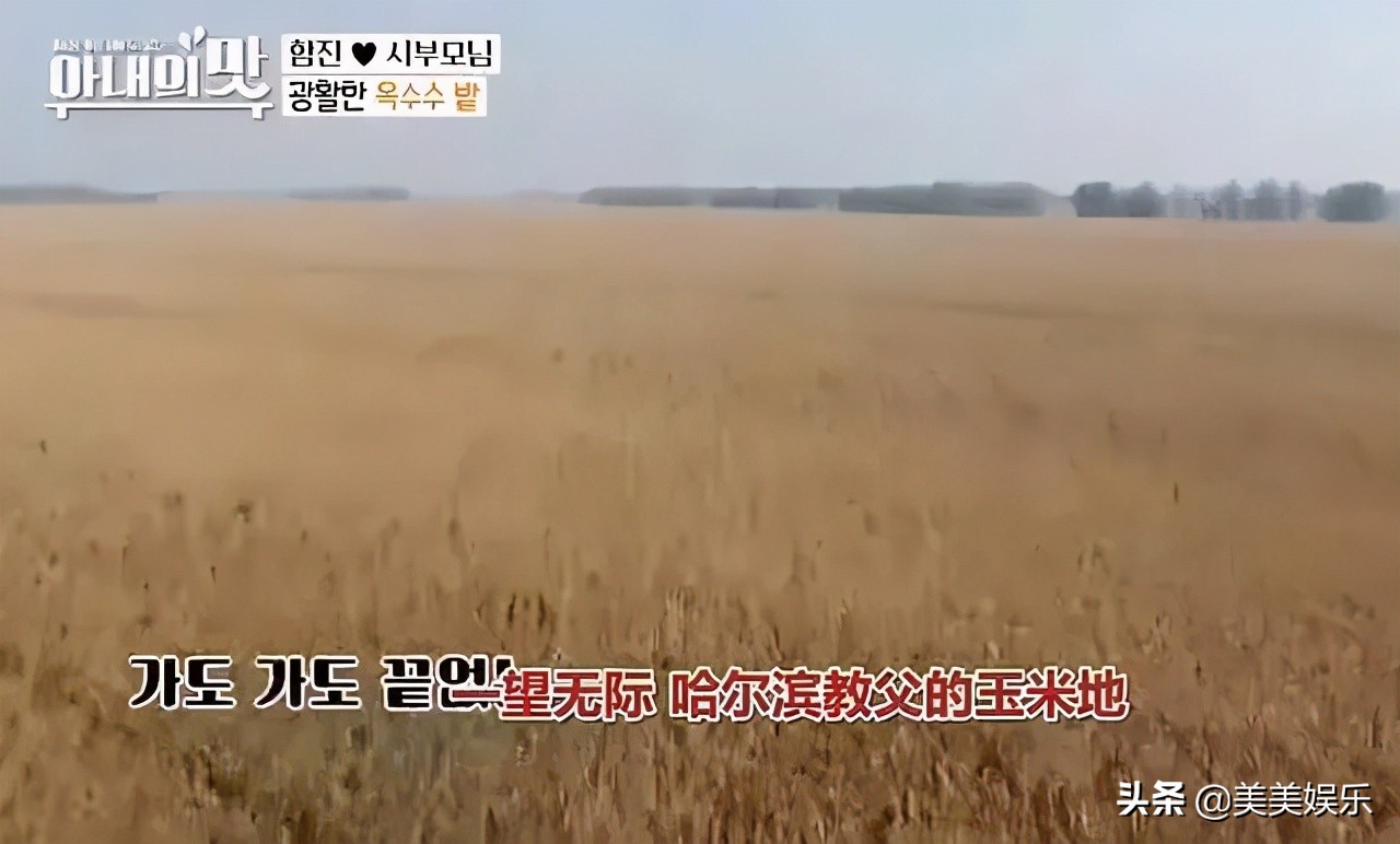 咸素媛陈华相差18岁的母子恋崩了，双双承认节目造假