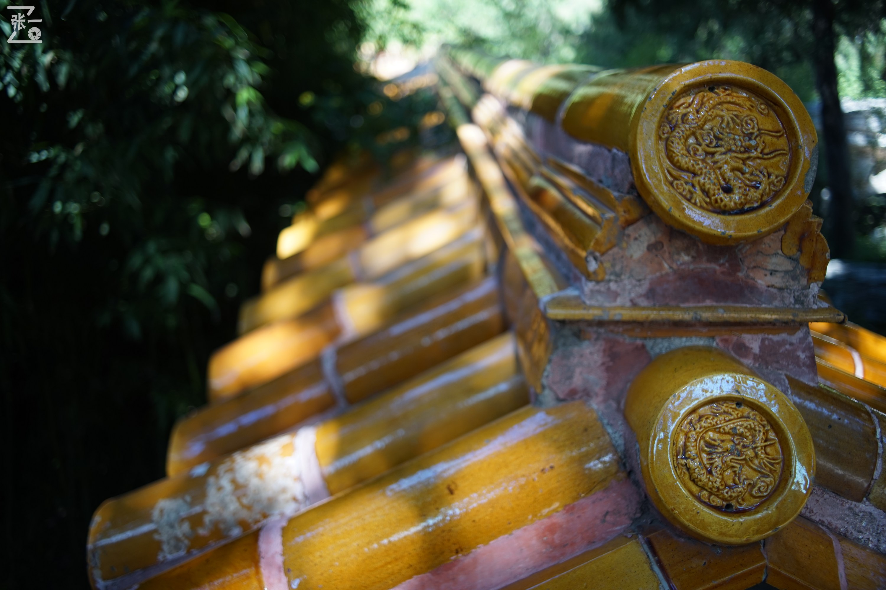 镜头测试：蔡司红T28/2.8+索尼微单A7实拍北京景山公园