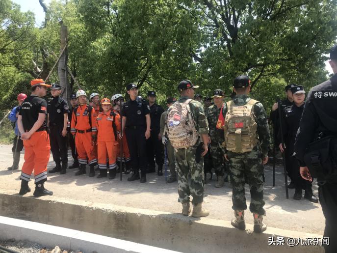 第二只金钱豹被搜救犬咬死,金钱豹被几只狗拿下